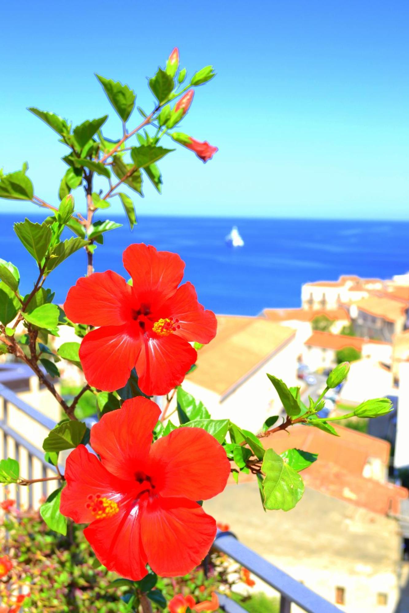 Scirocco Bed & Breakfast Cefalu Bagian luar foto